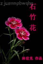 ʲôܛ������Կ�����ҕ�l